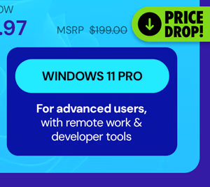 Microsoft Windows 11 Pro Lifetime License