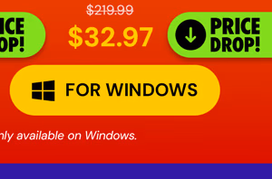 Microsoft Office Professional 2021 for Windows: Lifetime License