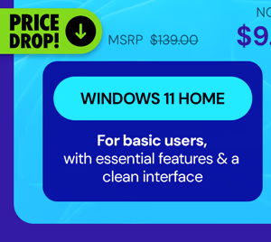 Microsoft Windows 11 Home Lifetime License
