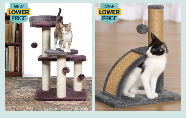 Shop Pets