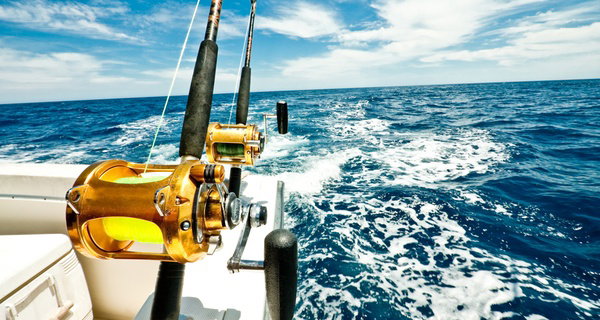 Half-Day, Shark & Sunset Fishing Trip in Myrtle Beach, South Carolina