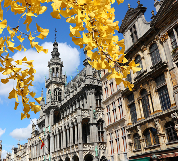 Brussels