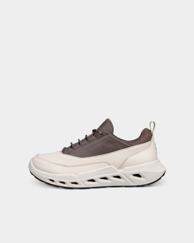 ECCO Biom 720 Gore-Tex