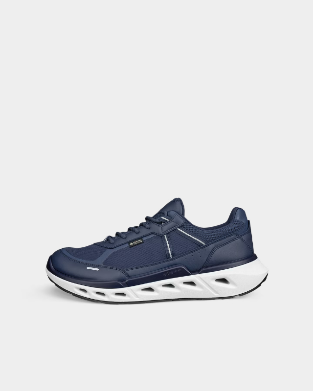 ECCO Biom 720 Gore-Tex