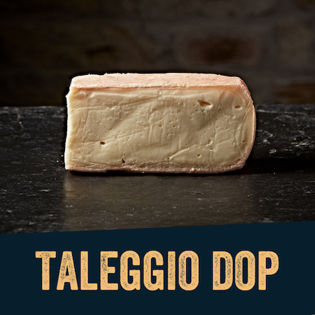 Taleggio DOP
