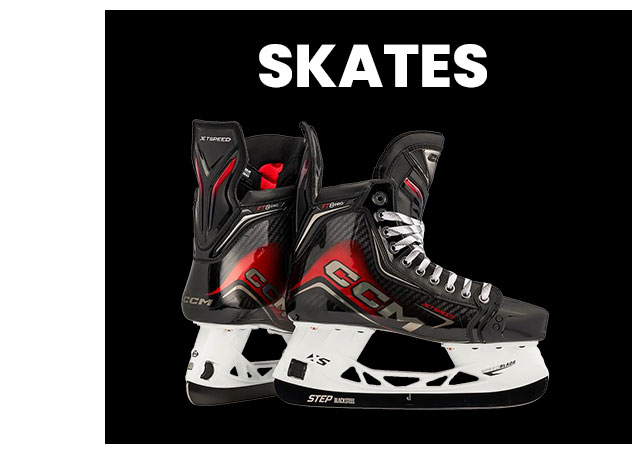 B6a- Skates