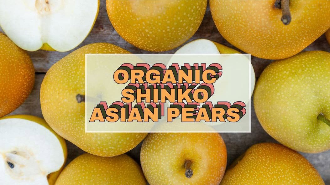 Organic Shinko Asian Pears