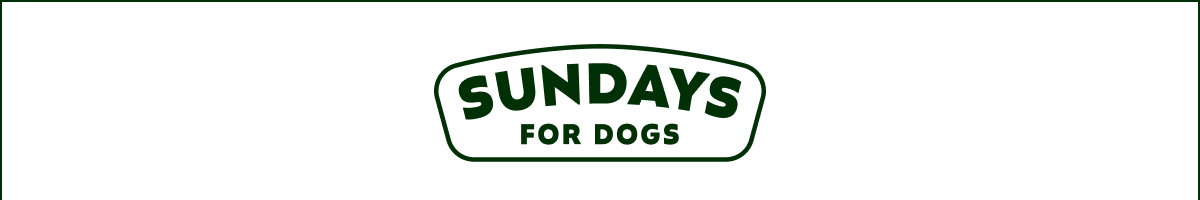 Explore Sundays