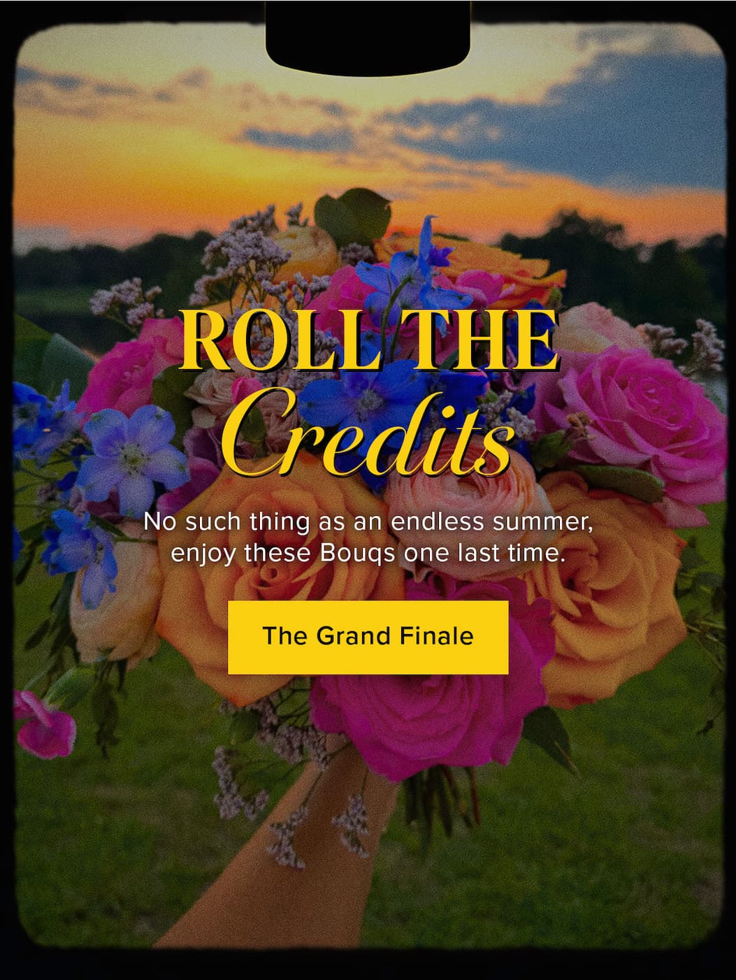 Roll the Credits, No such thing as an endless summer, enjoy these Bouqs one last time. The Grand Finale 