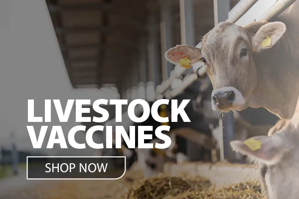 SHOP JEFFERS LIVESTOCK SUPPLIES