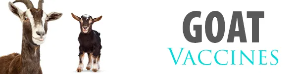 SHOP GOAT VACCINES