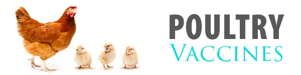 SHOP POULTRY VACCINES