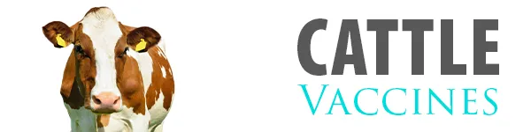 SHOP CATTLE VACCINES