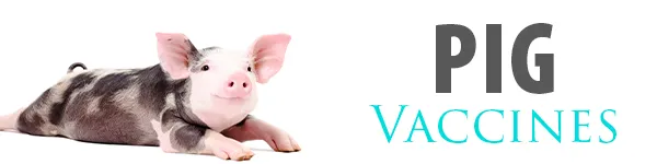 SHOP SWINE VACCINES