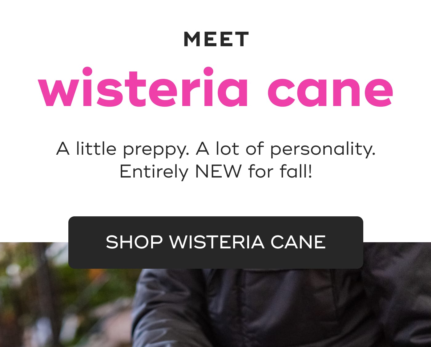 MEET. wisteria cane. A little preppy. A lot of personality. Entirely NEW for fall!. SHOP WISTERIA CANE