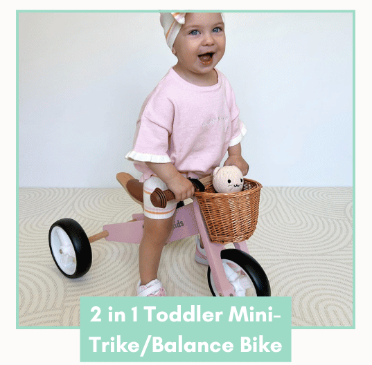 2 in 1 Toddler Mini Trike/Balance Bike