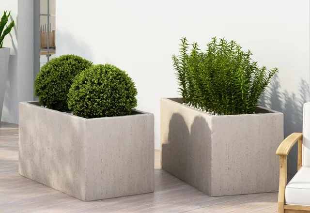 Planter Boxes