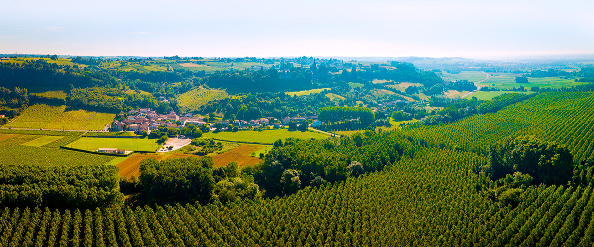 Bordeaux Affair