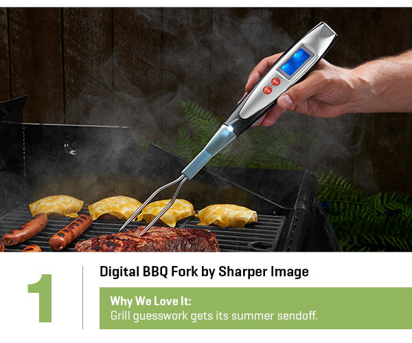 Digital BBQ Fork by Sharper Image