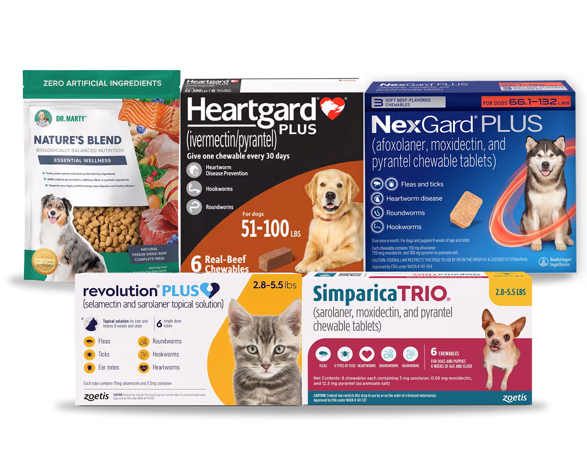 Everything they need, all in one place.