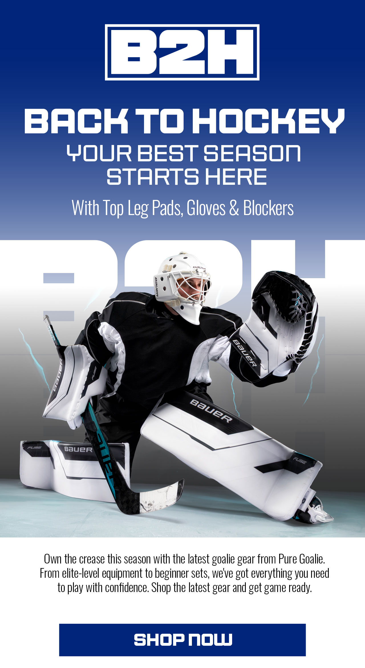 A1 - Back To Hockey - Top Leg Pads, Gloves & Blockers - Shop Now