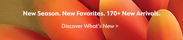 New Season. New Favorites. 170+ New Arrivals
