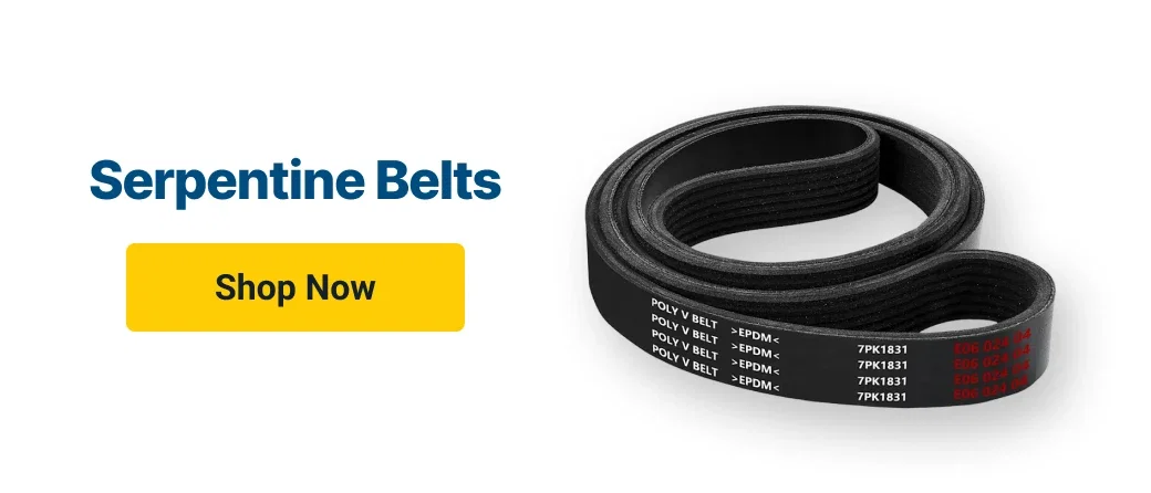 Serpentine Belts
