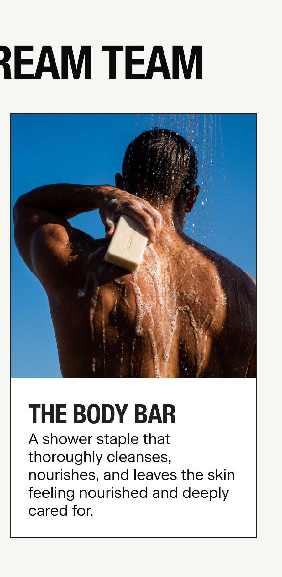 THE BODY BAR