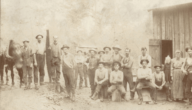 Vintage photo of loggers.