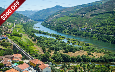 Magical Douro Cruise