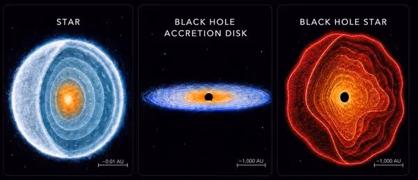 'Black hole stars' from the dawn of the universe are coming into focus | Scientific American