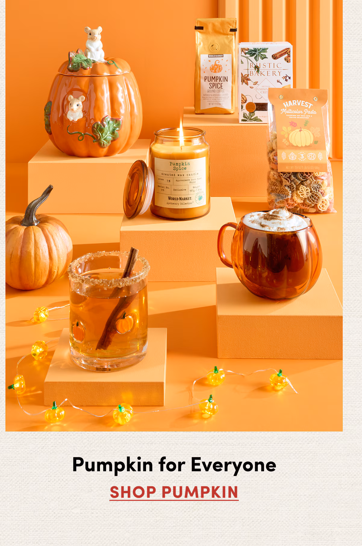 Pumpkin for Everyone | SHOP PUMPKIN