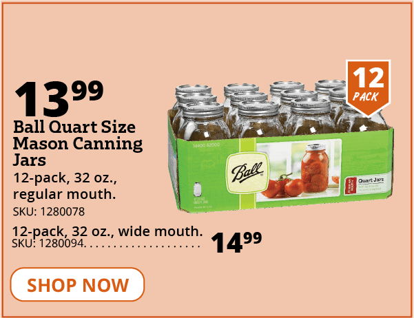 ball canning jars