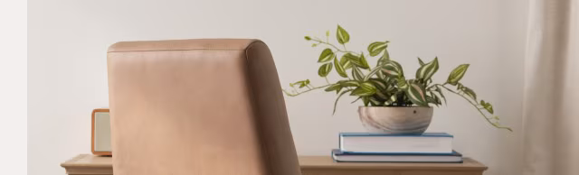 Desk chairs