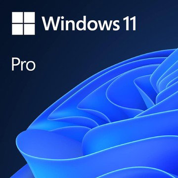 Microsoft Windows 11 Pro or Home - Digital Delivery
