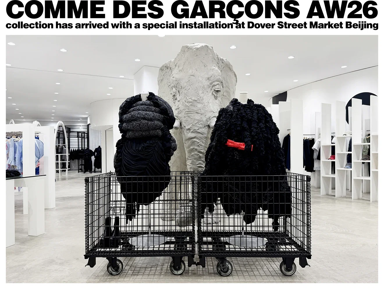 Comme des Garçons