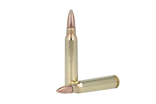 223 Rem Ammo