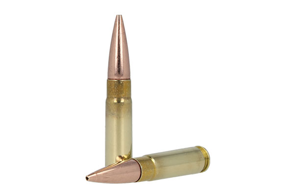 300 AAC Ammo