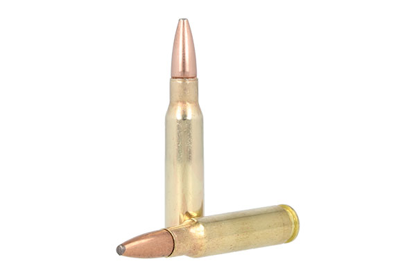 308 Win Ammo