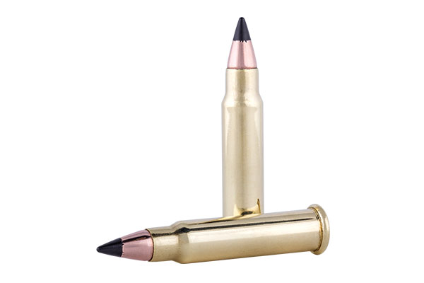 Rimfire Ammo