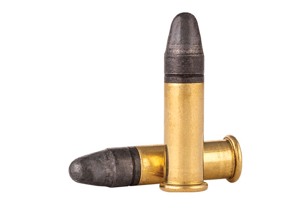 22 LR Ammo