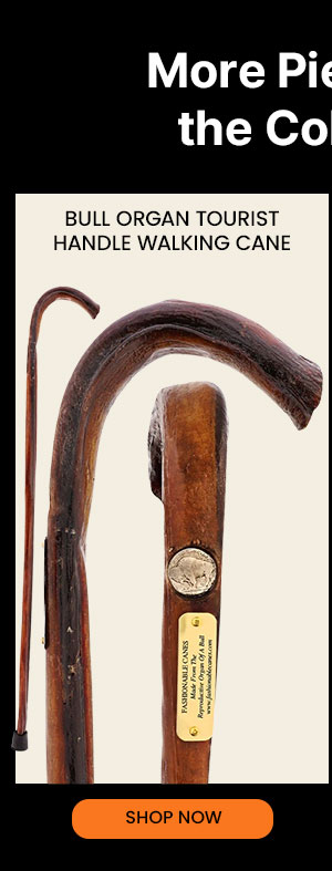 Bull Organ Tourist