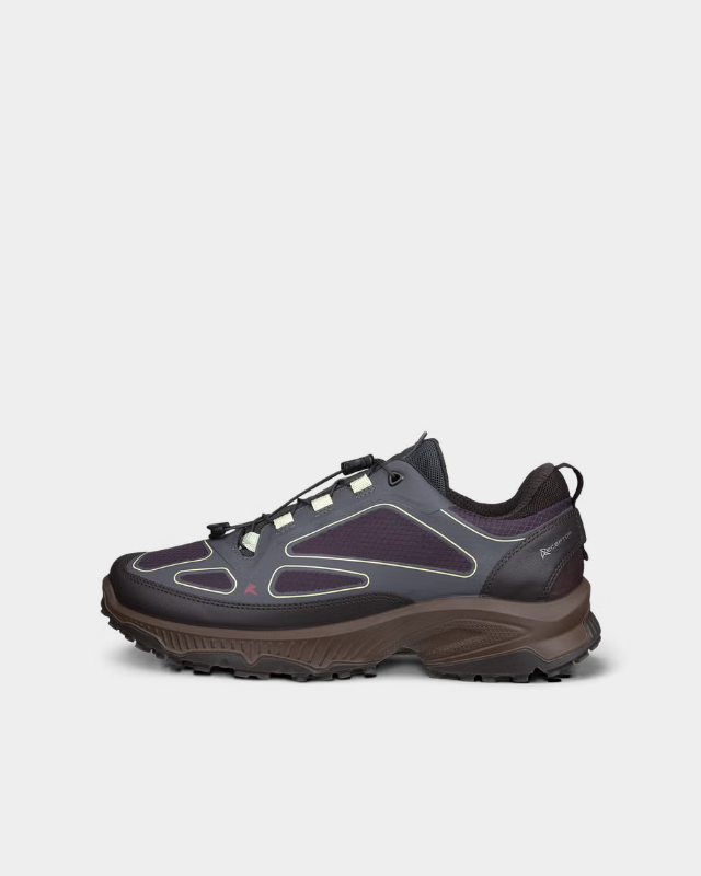 ECCO Receptor Xp