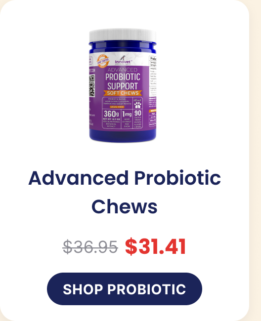 Advanced Probiotic Chews, now $31.41