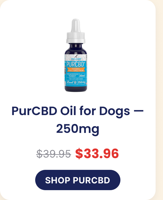 PurCBD Oil for Dogs — 250mg, now $33.96