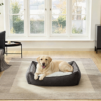 Tempur-Pedic Reversible All-season Pet Bed, 36-inch x 42-inch