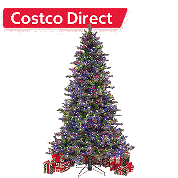 costco direct