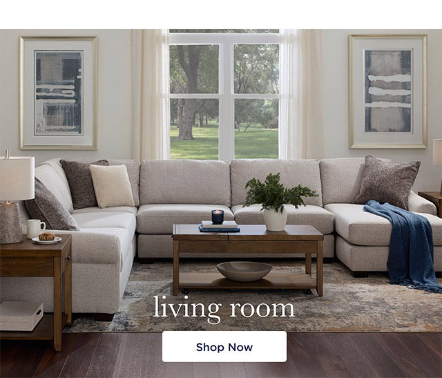 Living Room- Shop Now