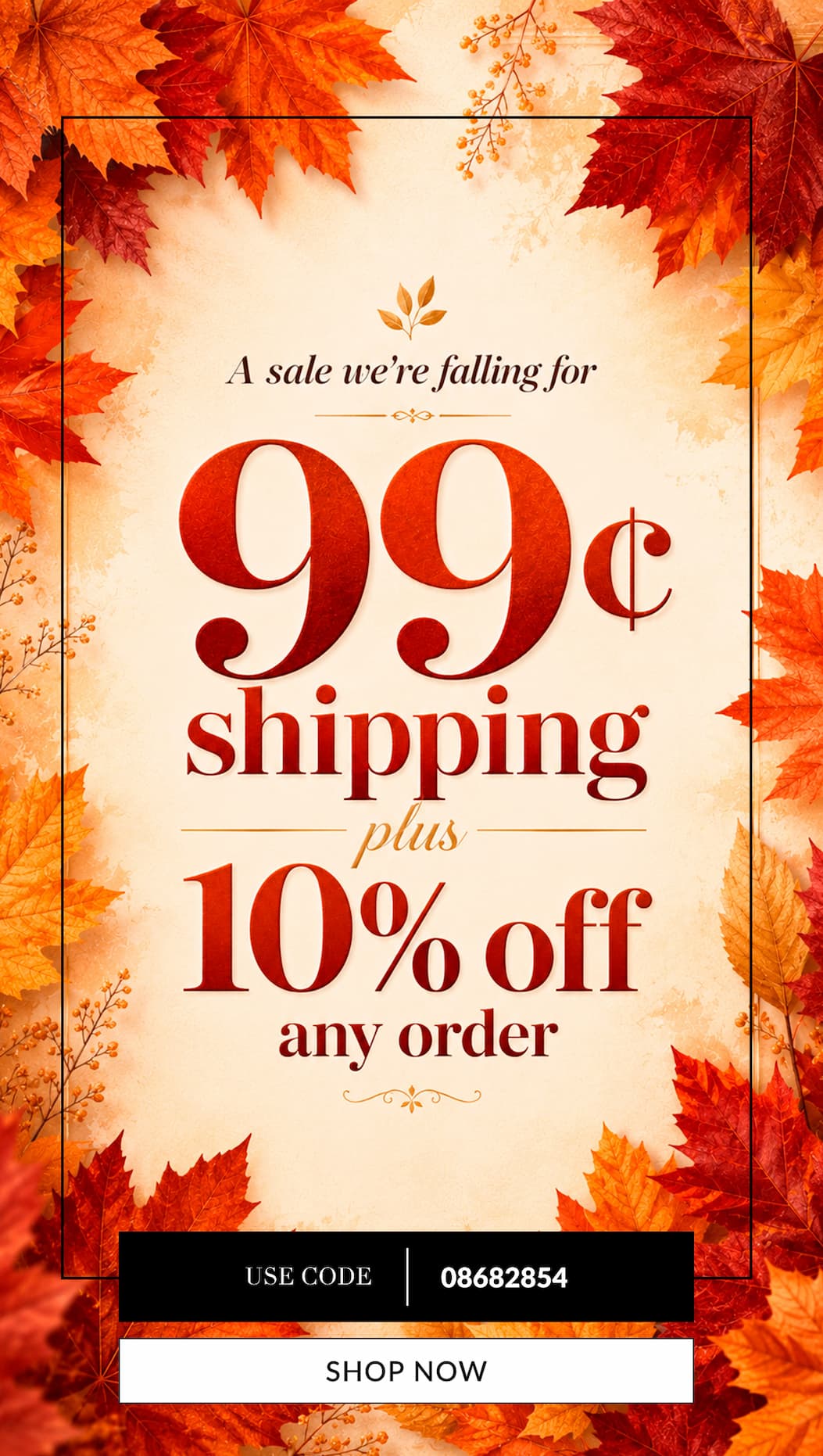 99 cent shipping plus 10% off any order