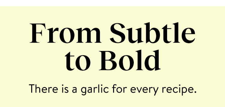 Garlic Bulbs